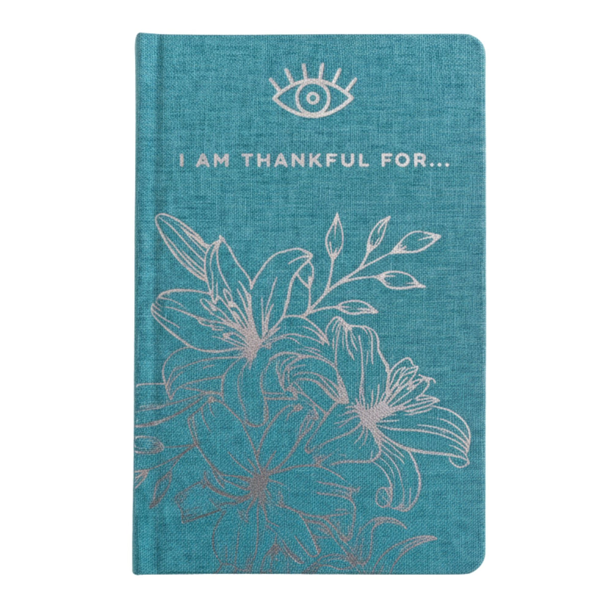 Blue Gratitude Journal with Silver Lining - 120 pages - I am Thankful For