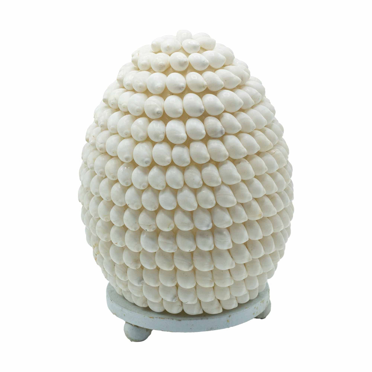 Boho Sea Shell Lamp - Buting Shell Oval - 15cm