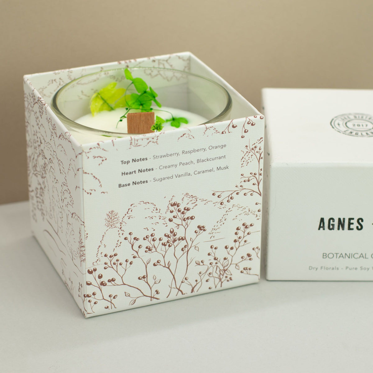 Agnes + Cat Botanical Soy Wax Candle - Fellberry
